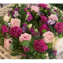 Sympathy 28 - Prices start from £55.00